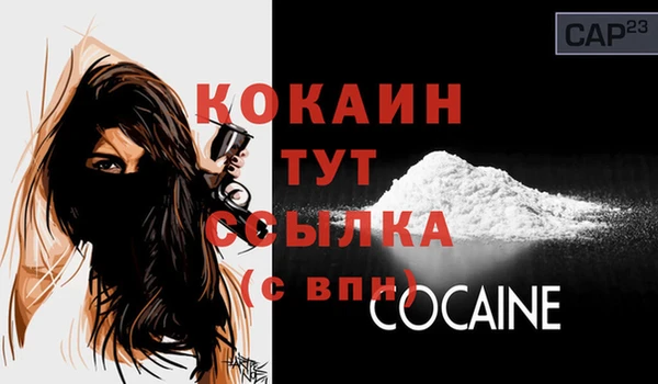 шишки Надым