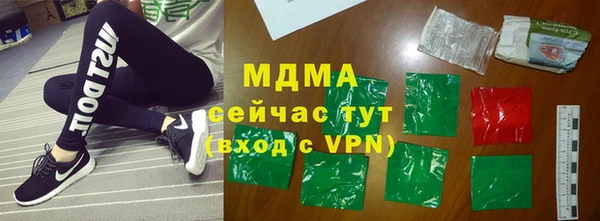 шишки Надым