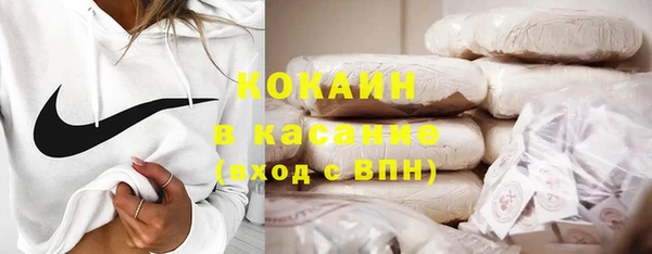 шишки Надым