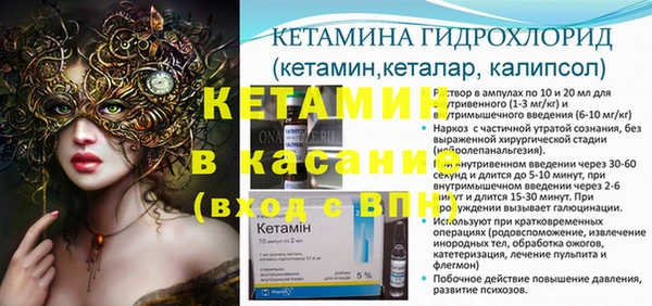 шишки Надым