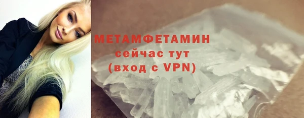 шишки Надым