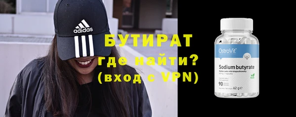 шишки Надым