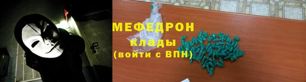 шишки Надым