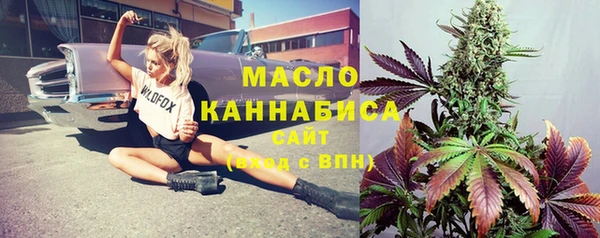 шишки Надым