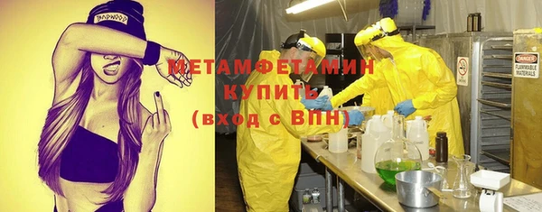 шишки Надым