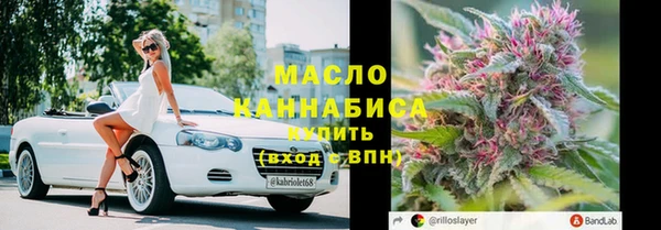 шишки Надым