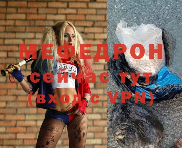 шишки Надым